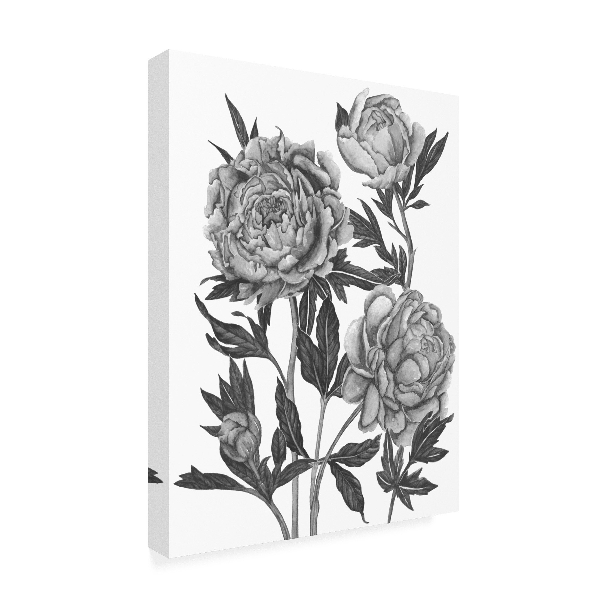 Melissa Wang 'Flowers in Grey V' Canvas Art