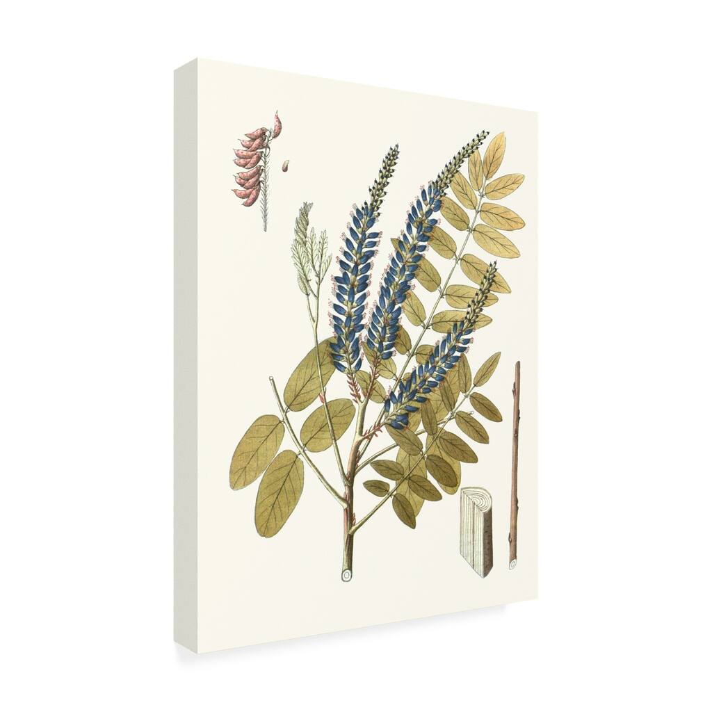 Unknown 'Lacy Leaves Ii' Canvas Art