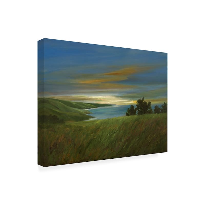 Sheila Finch 'sky At Dusk' Canvas Art - Bed Bath & Beyond - 24995746