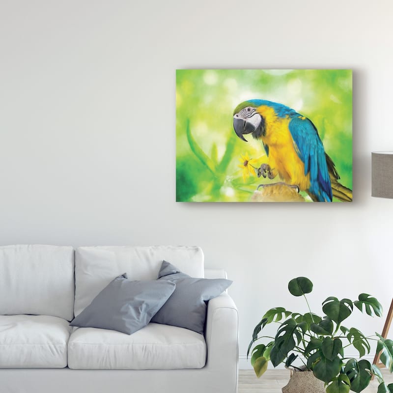 Lois Bryan 'Blue And Yellow Macaw' Canvas Art - On Sale - Bed Bath ...