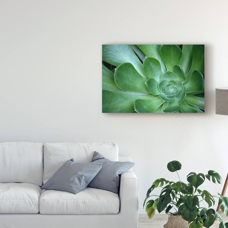 American School 'Succulent Up Close' Canvas Art