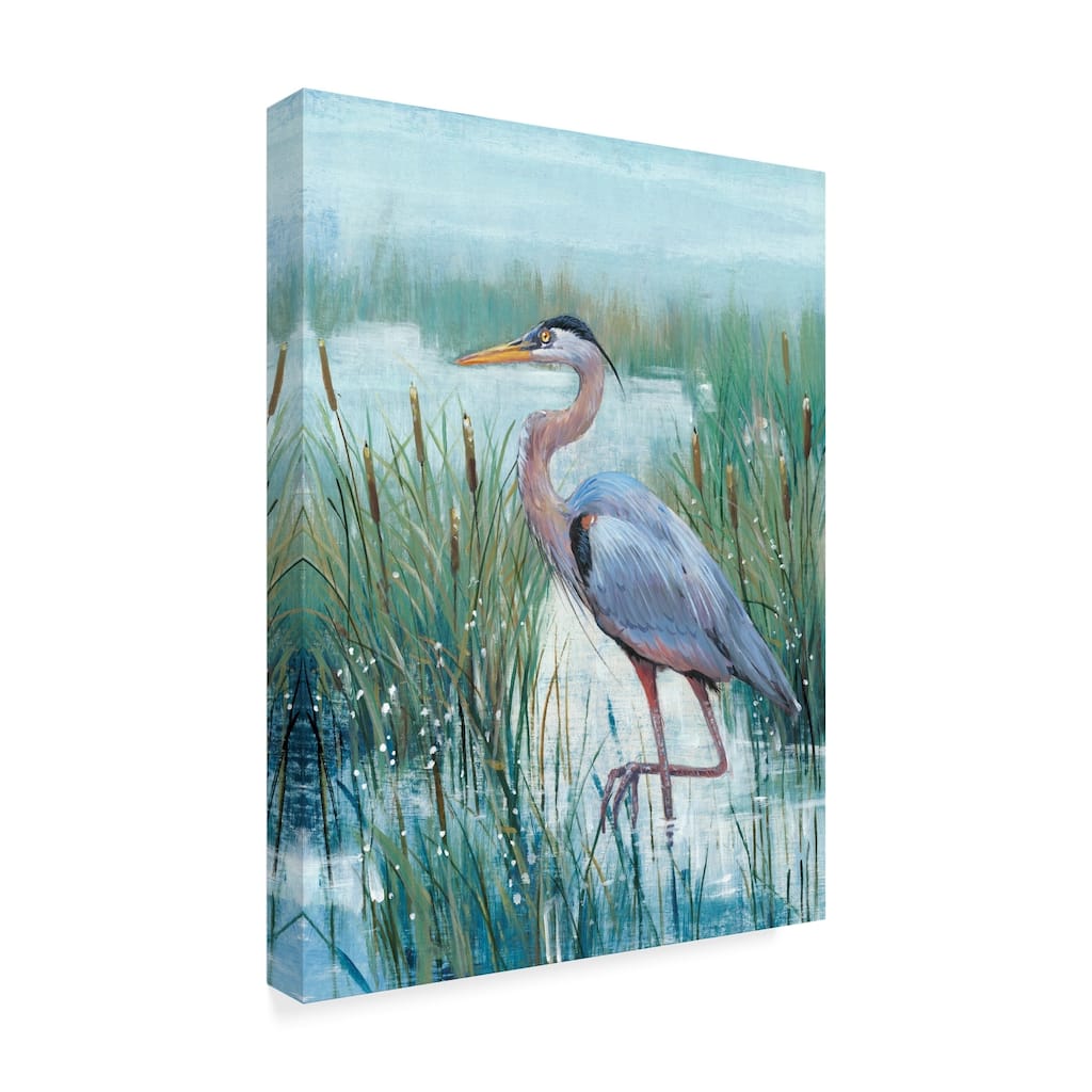 Tim Otoole 'Marsh Heron Ii' Canvas Art