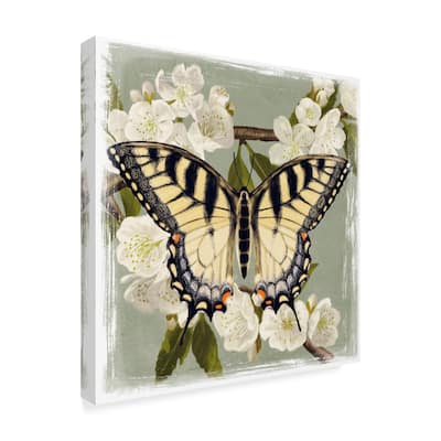 Victoria Borges 'Butterfly Branch Ii' Canvas Art