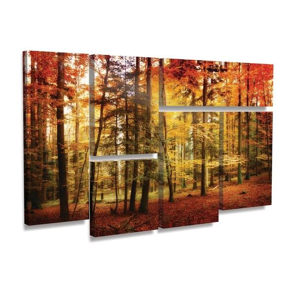 Trademark Fine Art Quadro Philippe Sainte-Laudy 'Brilliant Fall Color' – Paesaggio Autunnale, 30x47 Pollici, Tela Gallery-Wrapped, Made In USA