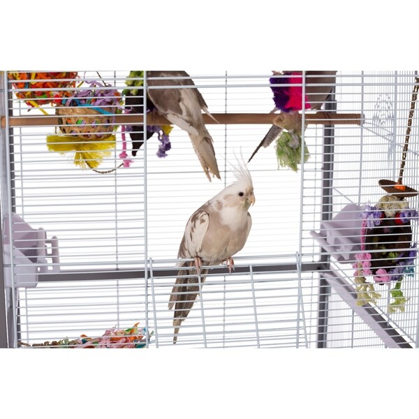 aviary bird supplies