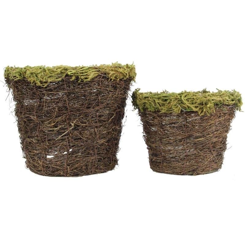 Set of 2 Natural Grapevine Moss Rim 6" and 8" pot w/ Soft Liner