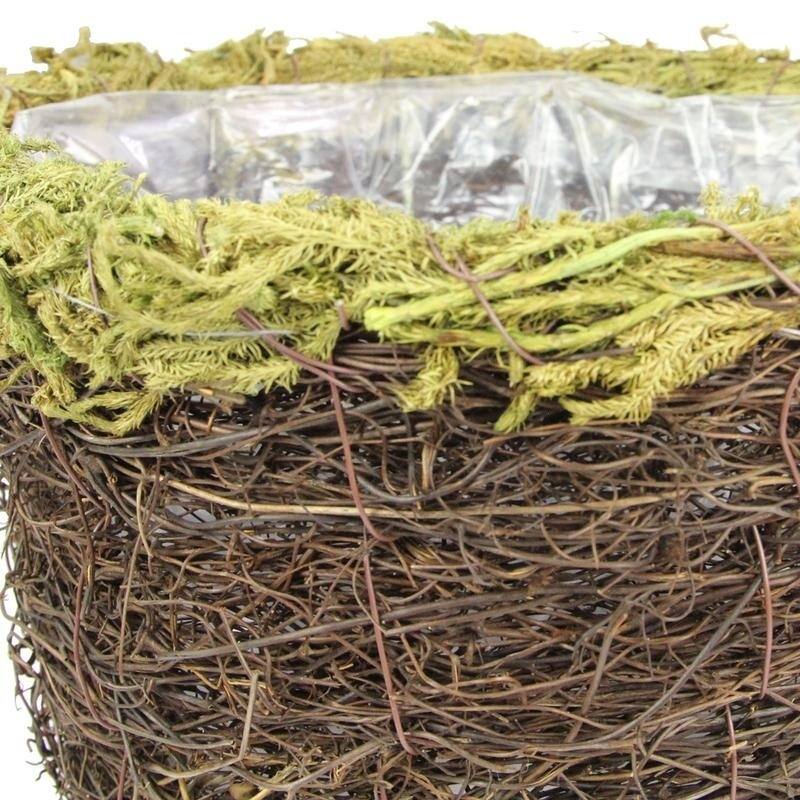 Set of 2 Natural Grapevine Moss Rim 6" and 8" pot w/ Soft Liner