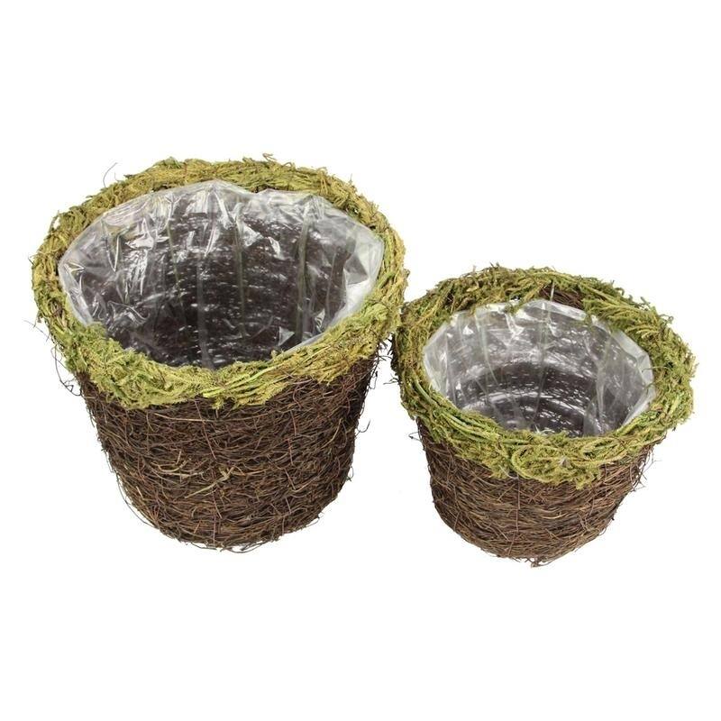 Set of 2 Natural Grapevine Moss Rim 6" and 8" pot w/ Soft Liner