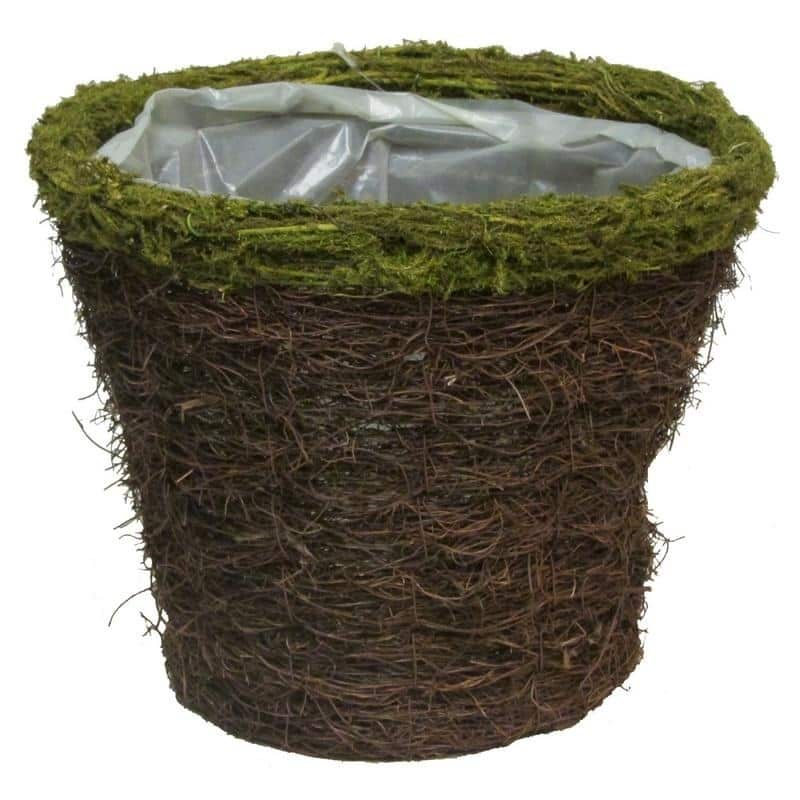 Natural Grapevine Moss Rim Pot w/ soft liner