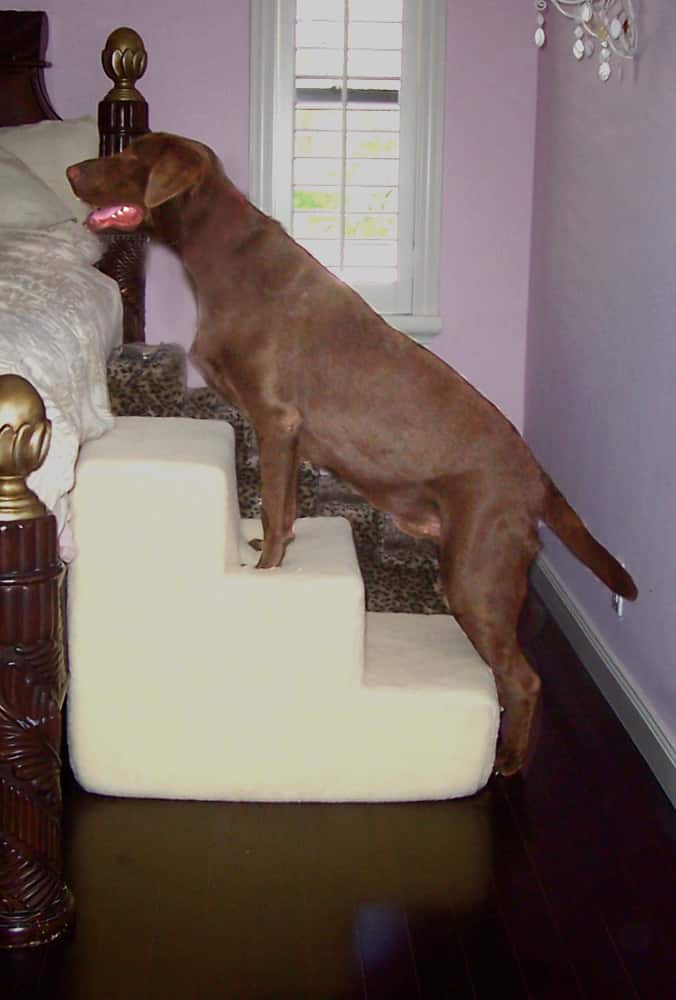 Shop Petstairz Big Dog Beige 3 Step Pet Stairs Free Shipping