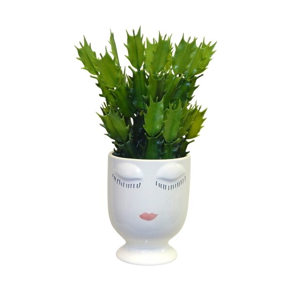 The Wild One Christmas/Easter Cactus in Celfie
