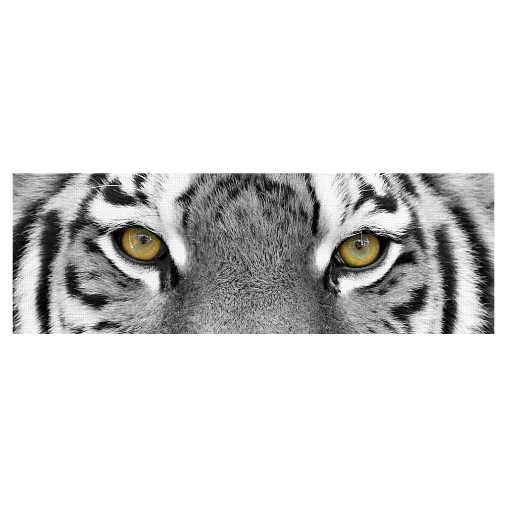 Masterpiece Art Gallery Tiger Eyes by PhotoINC Studio Canvas Art Print