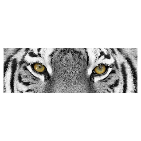 Masterpiece Art Gallery Tiger Eyes by PhotoINC Studio Canvas Art 