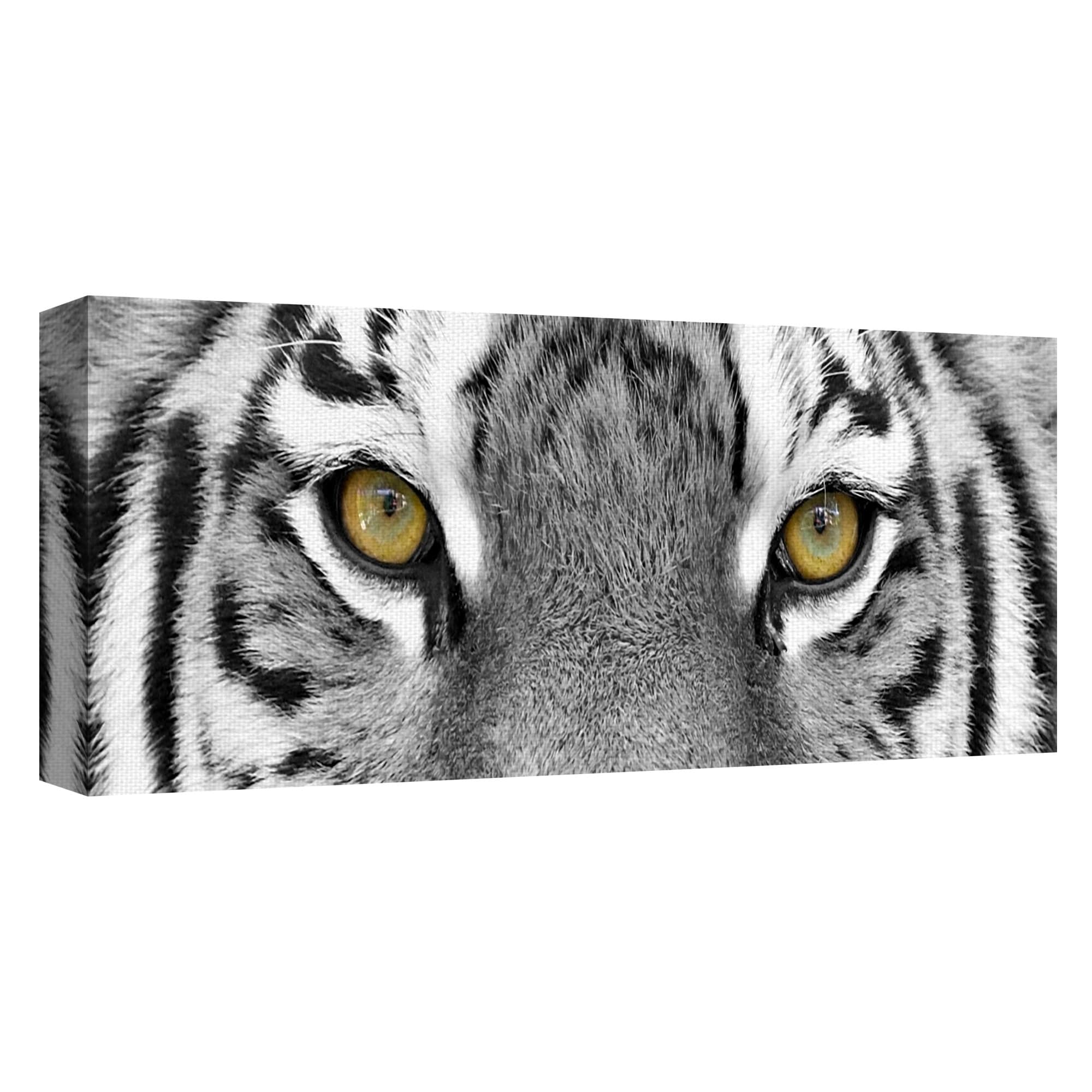 Masterpiece Art Gallery Tiger Eyes by PhotoINC Studio Canvas Art Print