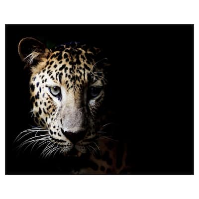Masterpiece Art Gallery In the Shadows Leopard By Belle Maison Canvas Art Print