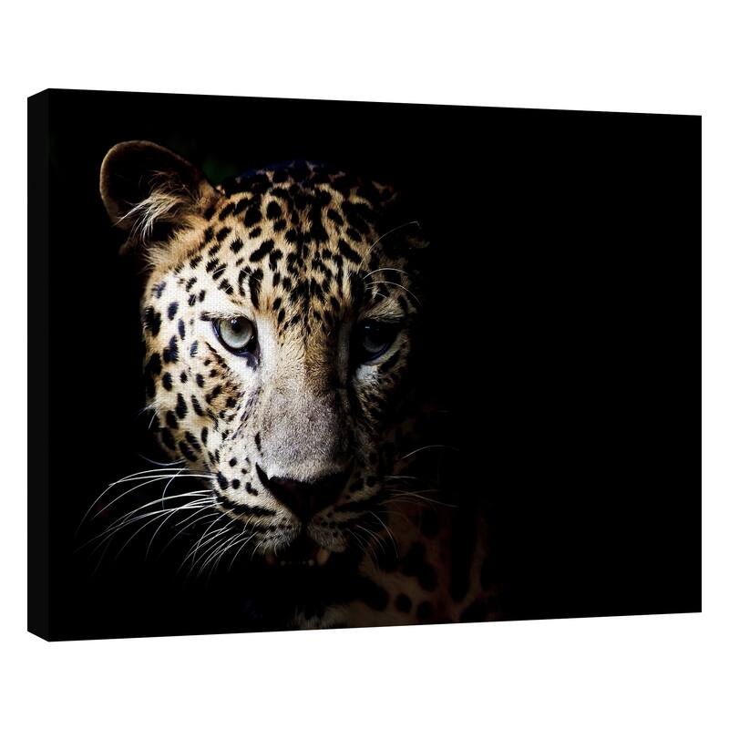 Masterpiece Art Gallery In the Shadows Leopard By Belle Maison Canvas Art Print