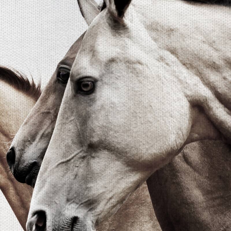 Masterpiece Art Gallery Grace In Profile Horses By Belle Maison Canvas Art Print
