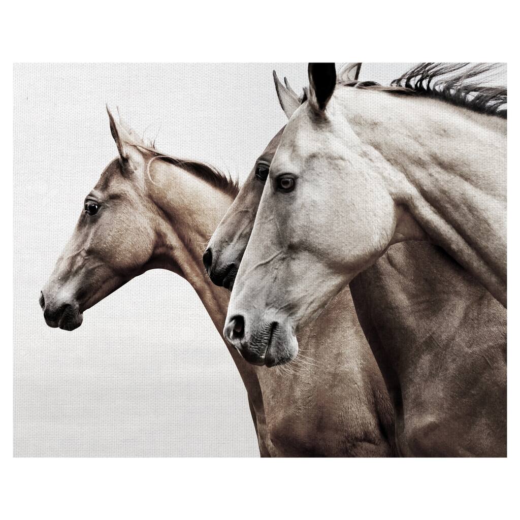 Masterpiece Art Gallery Grace In Profile Horses By Belle Maison Canvas Art Print