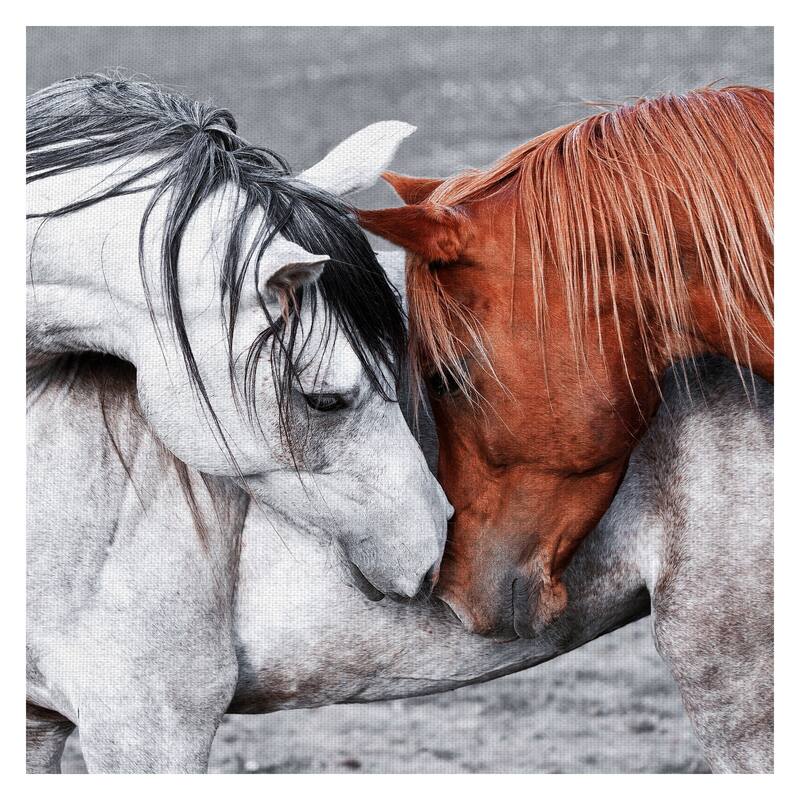 Masterpiece Art Gallery Horse Of A Different Color By Belle Maison Canvas Art Print