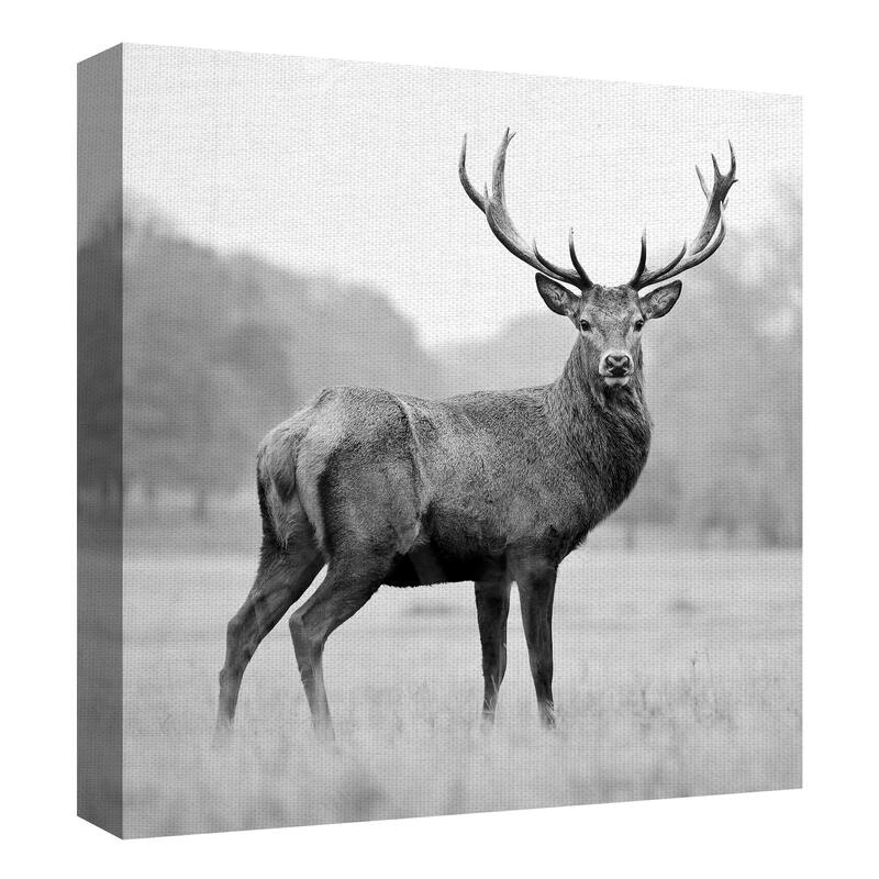Masterpiece Art Gallery Proud Deer By PhotoINC Studio Canvas Art Print