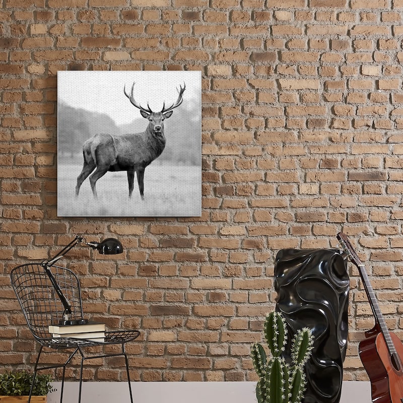 Masterpiece Art Gallery Proud Deer By PhotoINC Studio Canvas Art Print