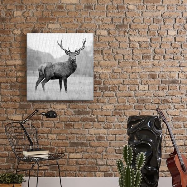 Proud Deer Canvas wall Art prints high quality great value