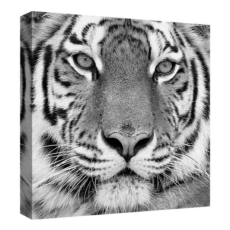 Masterpiece Art Gallery Tiger By PhotoINC Studio Canvas Art Print