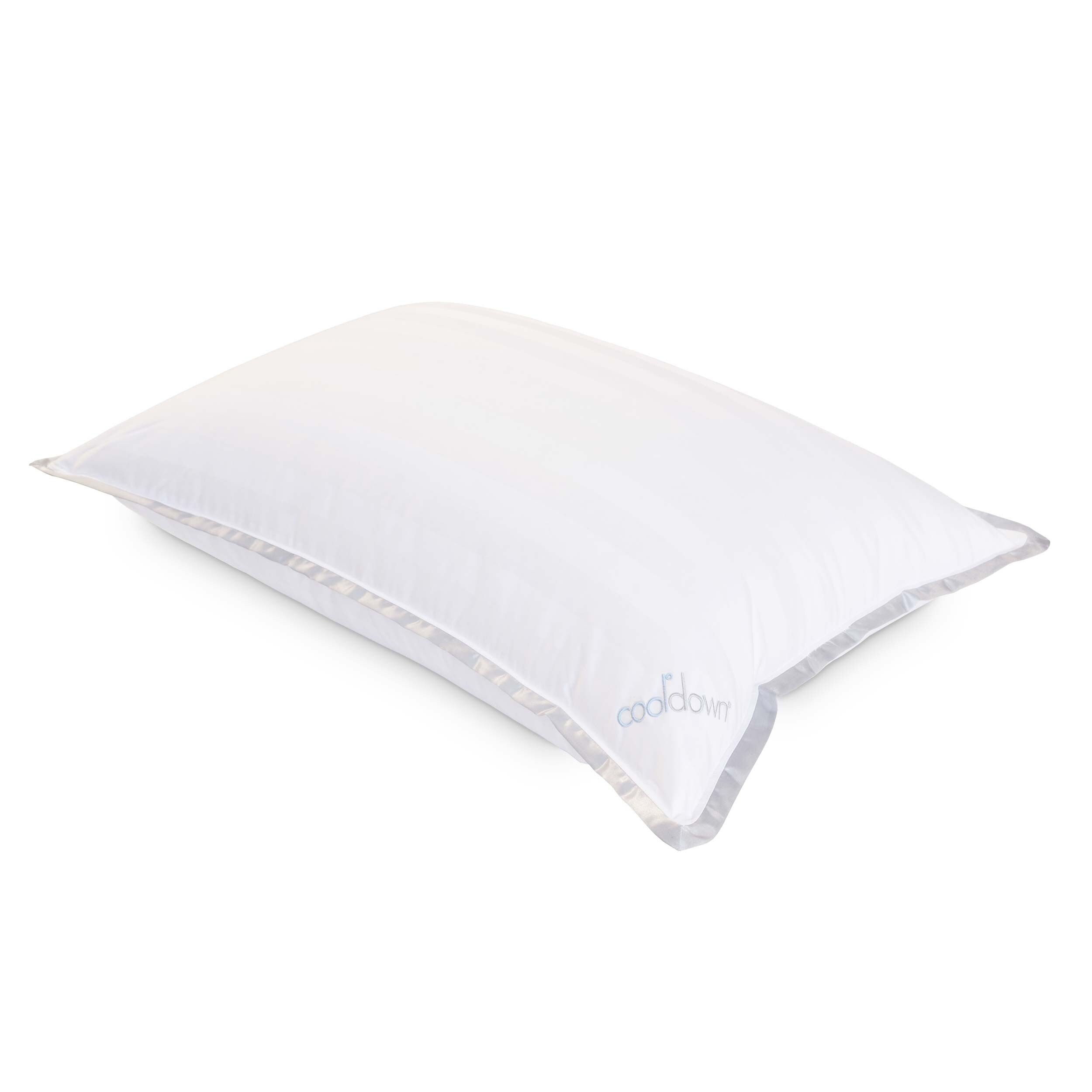 Shop Cooldown Temperature Regulating Down Jumbo Pillow White