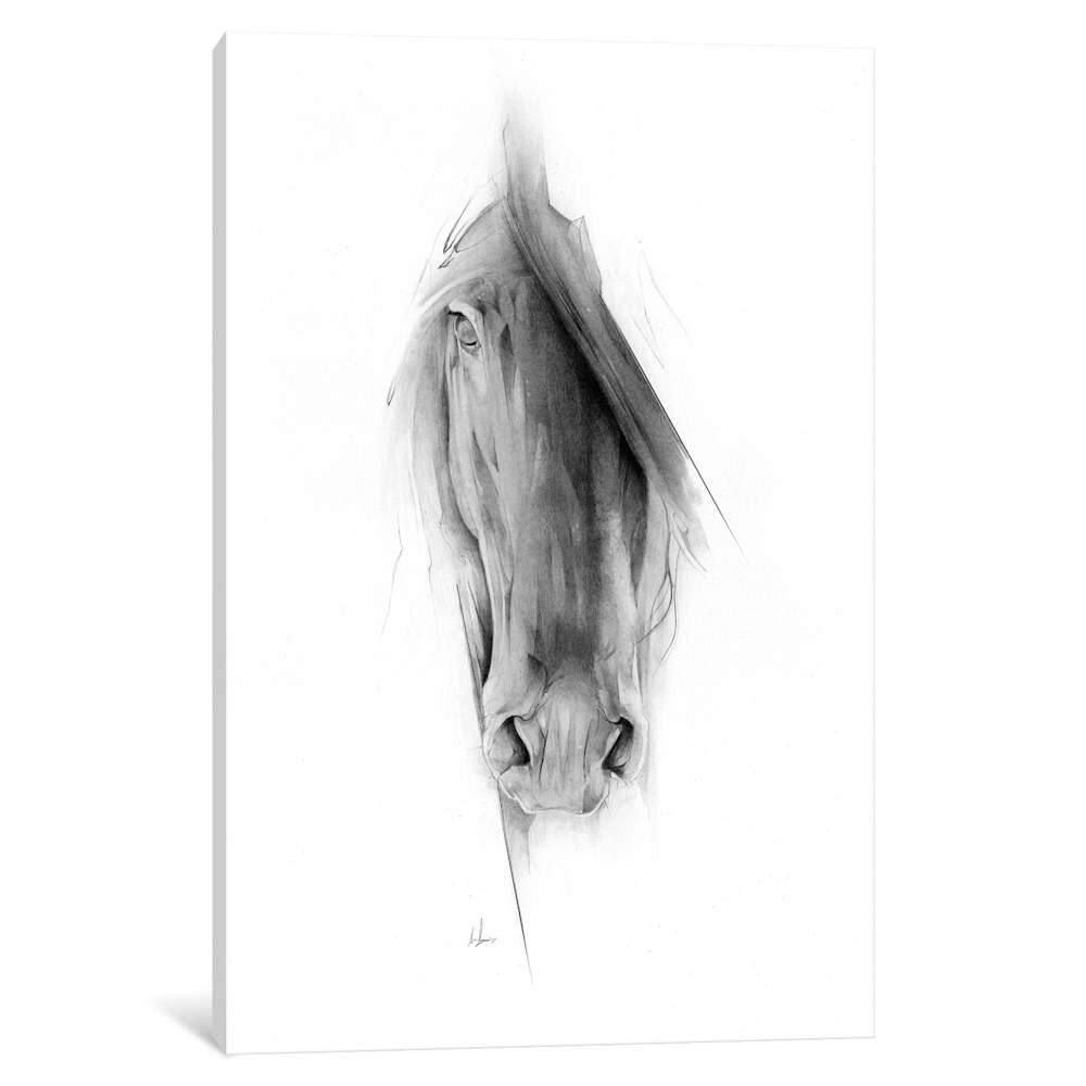 iCanvas ''Horse 2023'' by Alexis Marcou