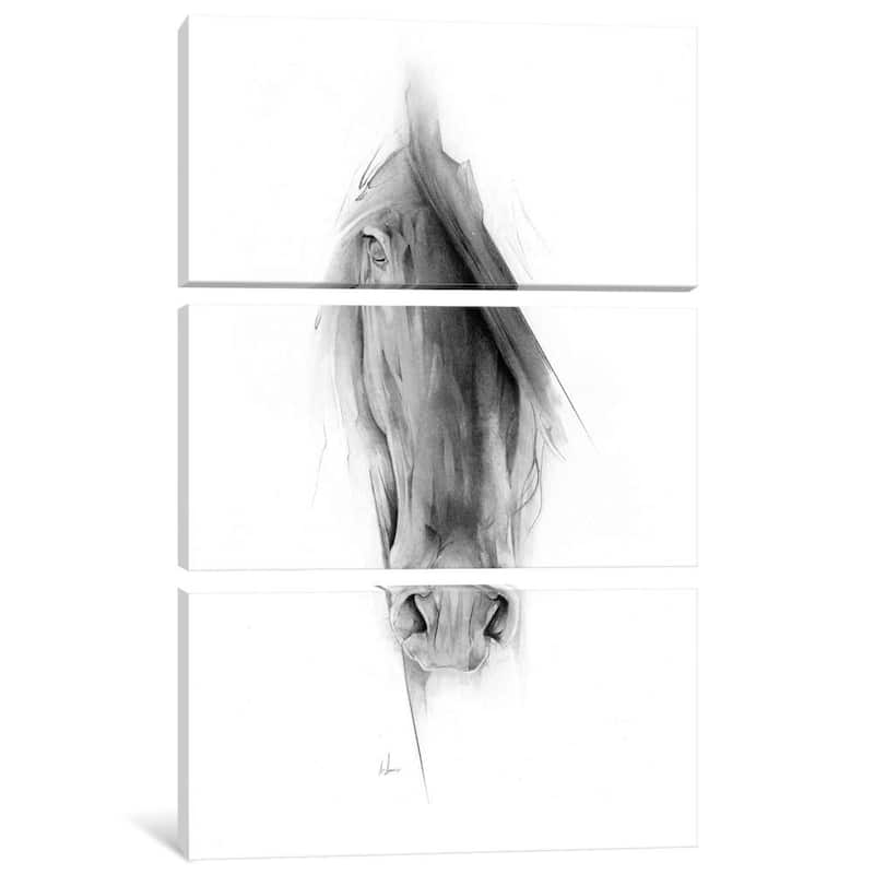 iCanvas ''Horse 2023'' by Alexis Marcou