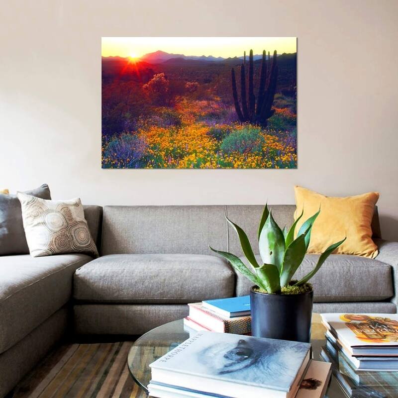 iCanvas ''Sunset, Organ Pipe NM, USA'' by Christopher Talbot Frank