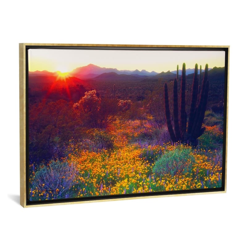 iCanvas ''Sunset, Organ Pipe NM, USA'' by Christopher Talbot Frank