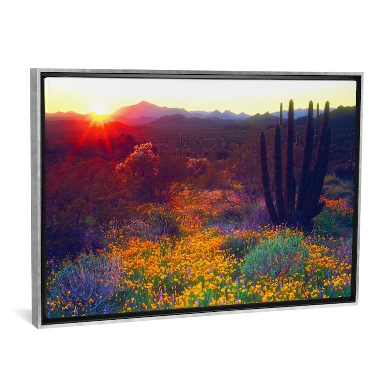 iCanvas ''Sunset, Organ Pipe NM, USA'' by Christopher Talbot Frank