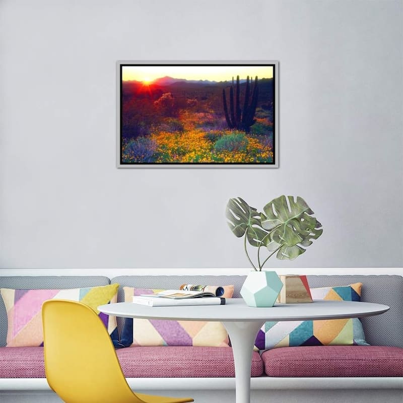 iCanvas ''Sunset, Organ Pipe NM, USA'' by Christopher Talbot Frank