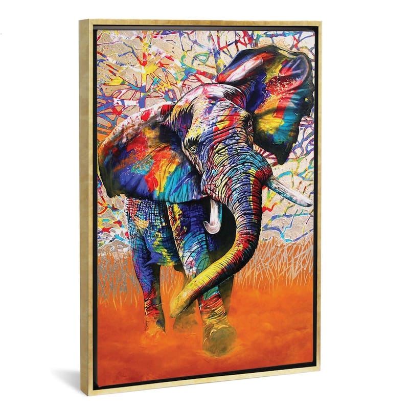 iCanvas 'African Colours' by Graeme Stevenson