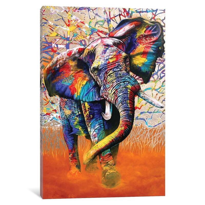 iCanvas 'African Colours' by Graeme Stevenson