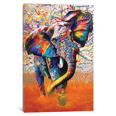 iCanvas 'African Colours' by Graeme Stevenson