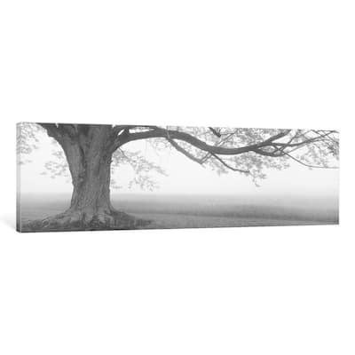iCanvas ''Lone Tree, Knox Farm SP, East Aurora'' by Panoramic Images