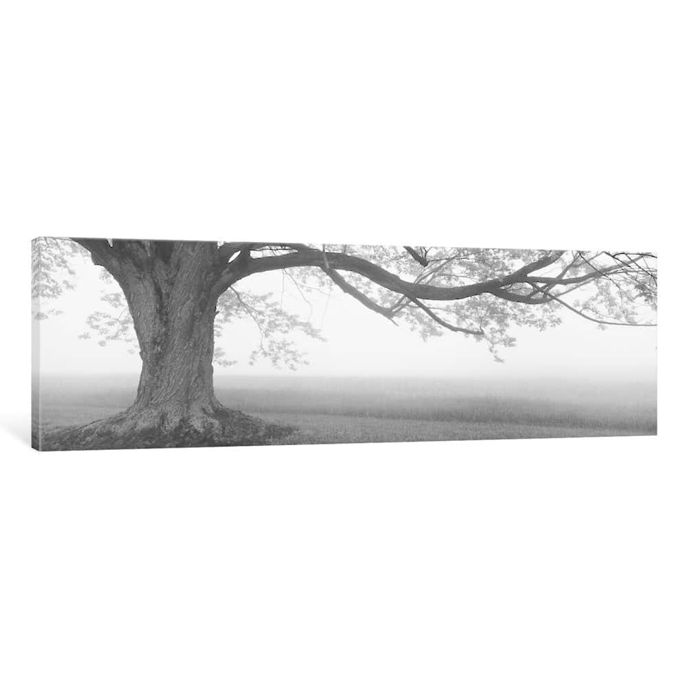 iCanvas ''Lone Tree, Knox Farm SP, East Aurora'' by Panoramic Images