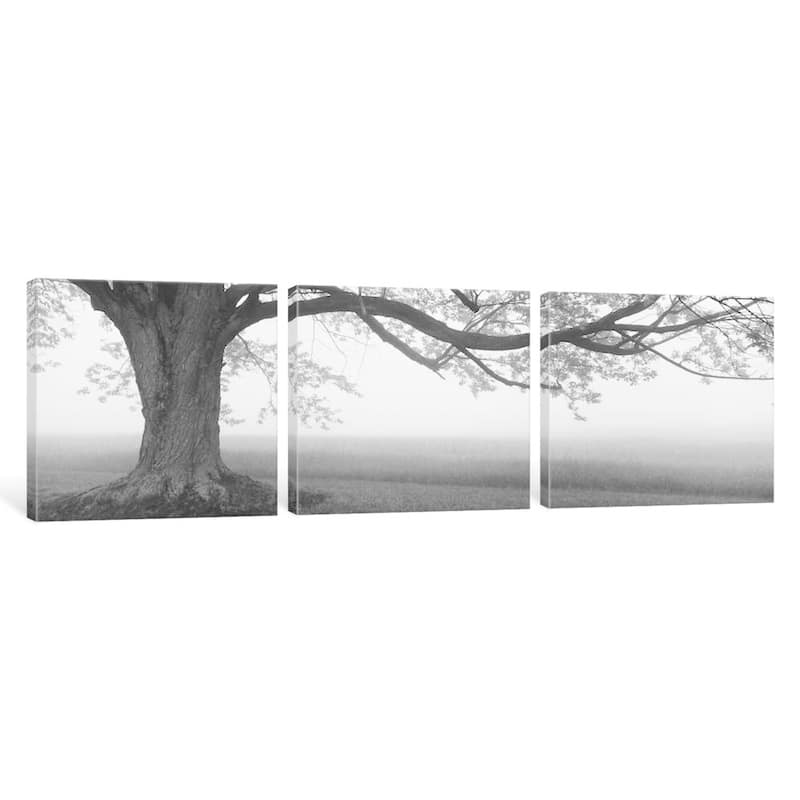 iCanvas ''Lone Tree, Knox Farm SP, East Aurora'' by Panoramic Images