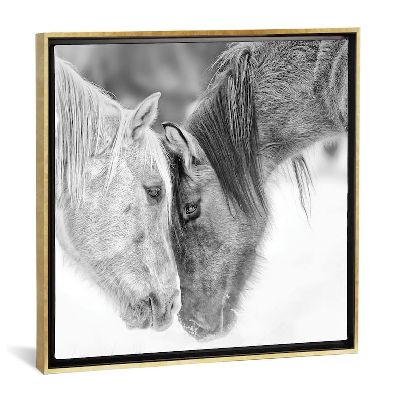 iCanvas 'B&W Horses VII' by PH Burchett