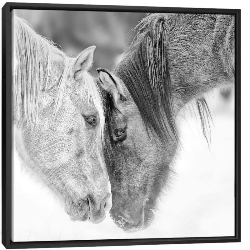 iCanvas 'B&W Horses VII' by PH Burchett