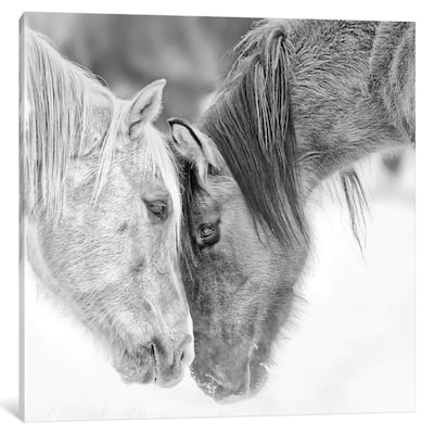 iCanvas 'B&W Horses VII' by PH Burchett