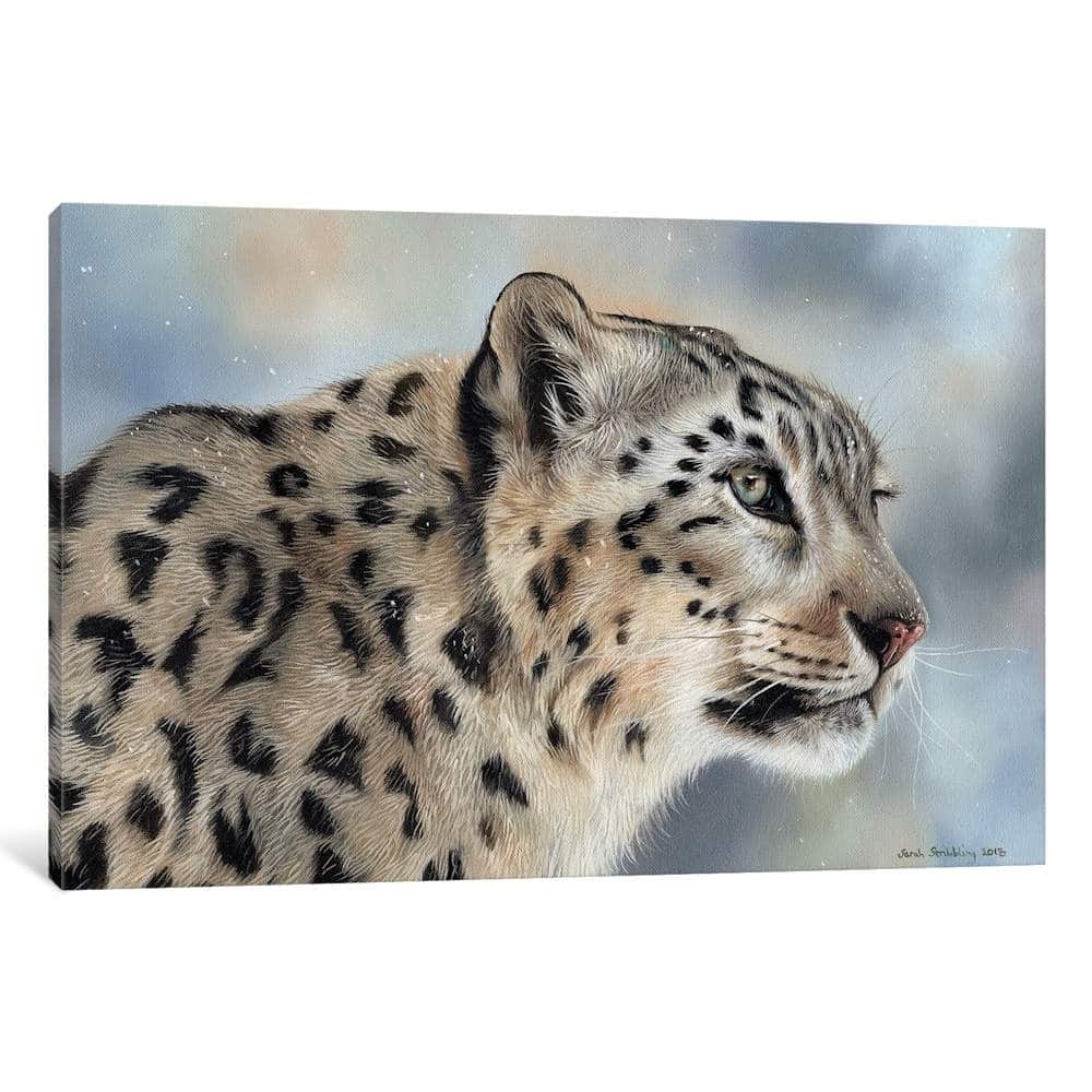 iCanvas ''Snow Leopard IV'' by Sarah Stribbling