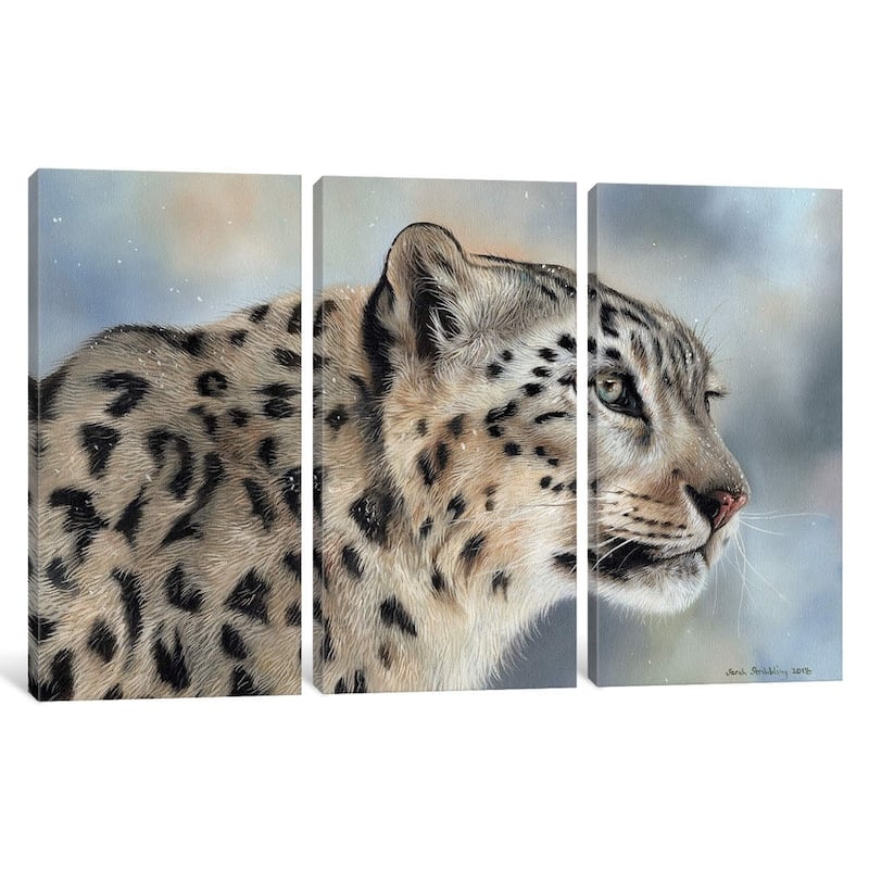 iCanvas ''Snow Leopard IV'' by Sarah Stribbling
