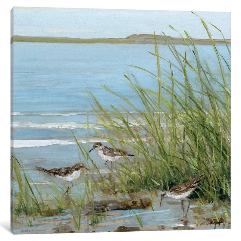 iCanvas ''Afternoon On The Shore III'' by Sally Swatland