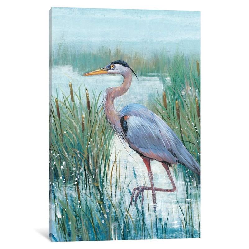 iCanvas ''Marsh Heron II'' by Tim O'Toole