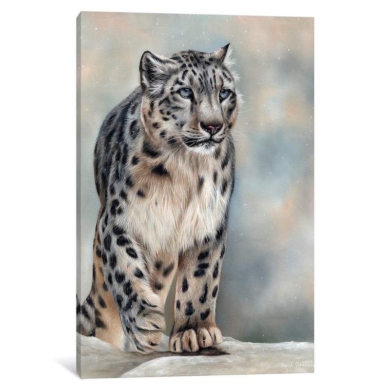 iCanvas ''Snow Leopard'' by Sarah Stribbling
