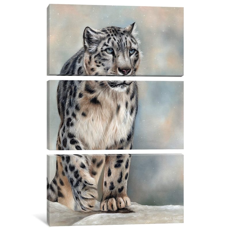 iCanvas ''Snow Leopard'' by Sarah Stribbling