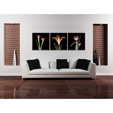 Chic Home Tropical 3 Piece Set Wrapped Canvas Wall Art Giclee Print - Multi-color